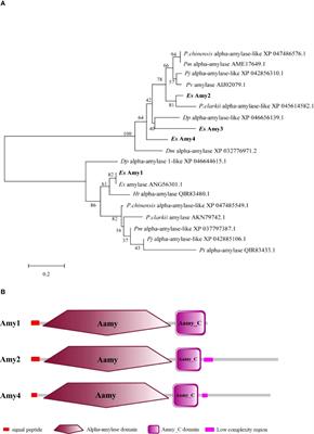 Inhibited expression of amylases and cellulases in crabs with hepatopancreatic necrosis disease and their regulation by EcR and HR38